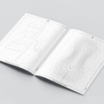 Willemotte 1734 Stradivari