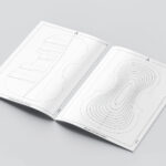 Willemotte 1734 Stradivari